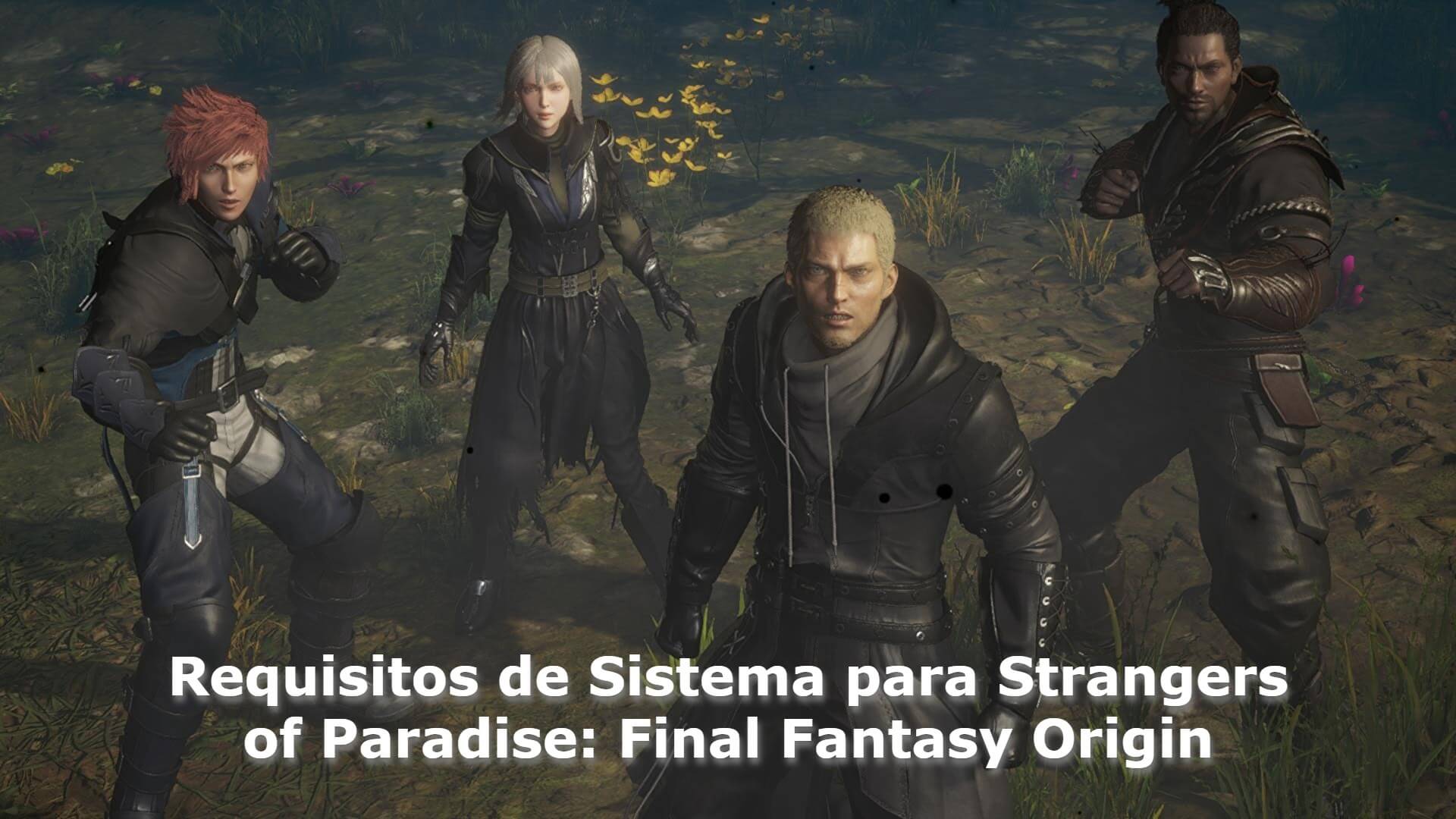 Requisitos de Sistema para Strangers of Paradise, Final Fantasy Origin